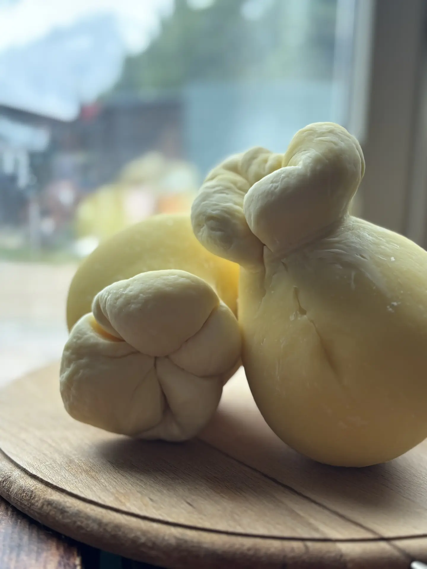 Скаморца — итальянский сыр своими руками